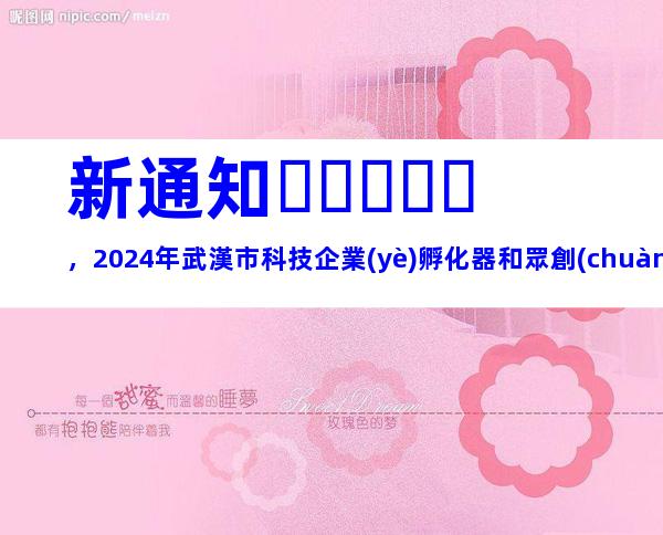 新通知，2024年武漢市科技企業(yè)孵化器和眾創(chuàng)空間申報條件、時間